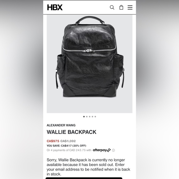 Authentic Alexander Wang “ Wallie” backpack - Picture 2 of 7